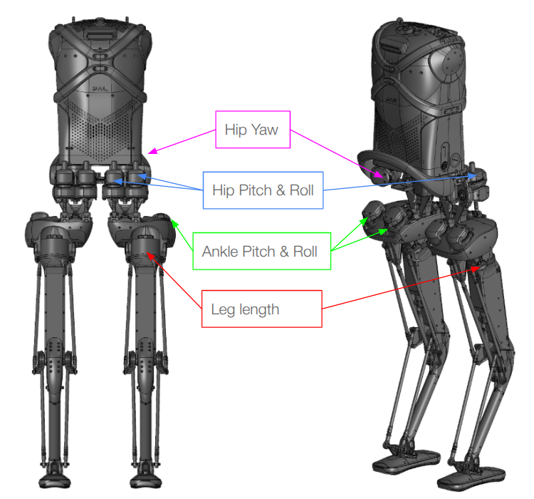 ../../_images/kangaroo_legs_joints.png