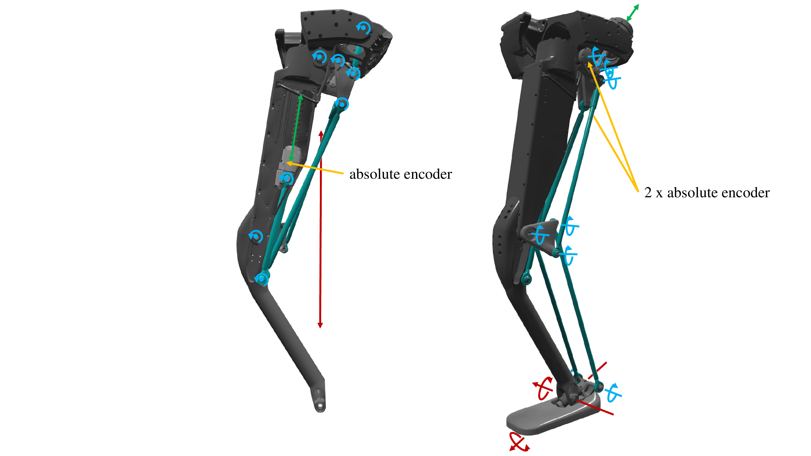../../_images/leg_length_ankle-1.png
